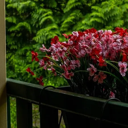 Vacation North Limburg Chalé Blitterswijck