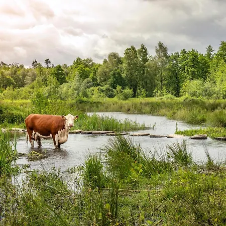 Vacation North Limburg *