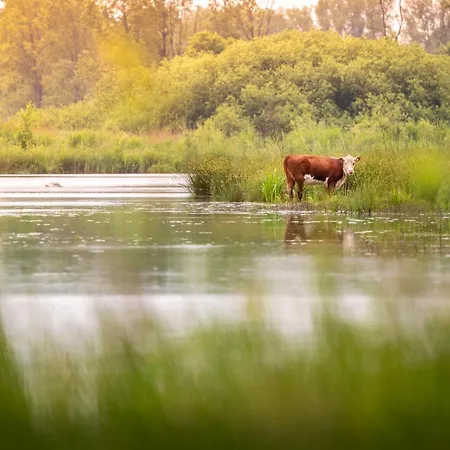 Chalé Vacation North Limburg *