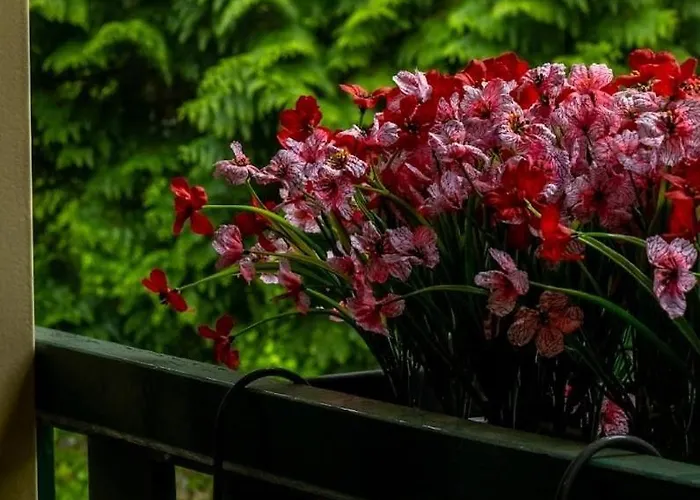 Vacation North Limburg Domek alpejski Blitterswijck