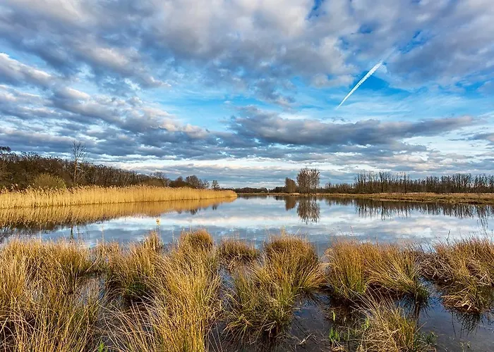 Domek alpejski Vacation North Limburg Blitterswijck