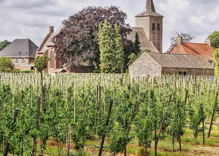Domek alpejski Vacation North Limburg