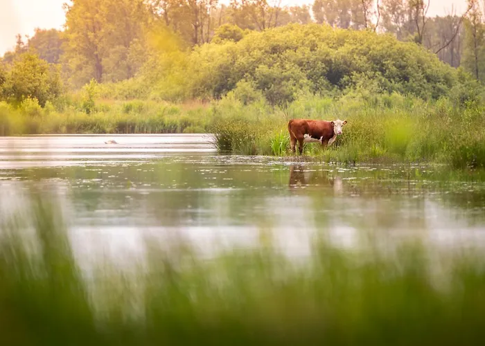 Domek alpejski Vacation North Limburg *